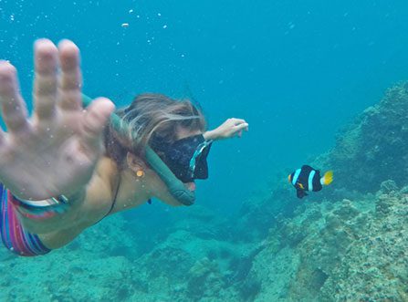 Underwater image of guest snorkling during Krabi Sunset Cruise coming face to face with black, white and yellow fish