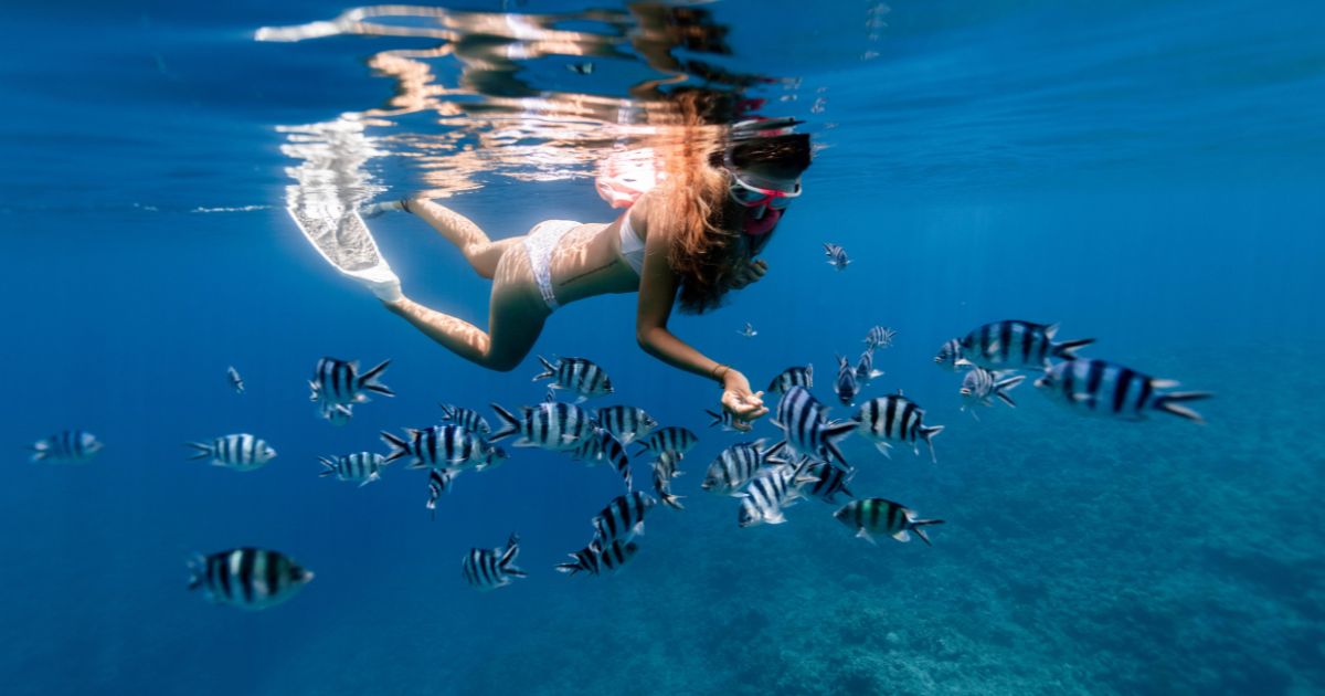 snorkeling in krabi