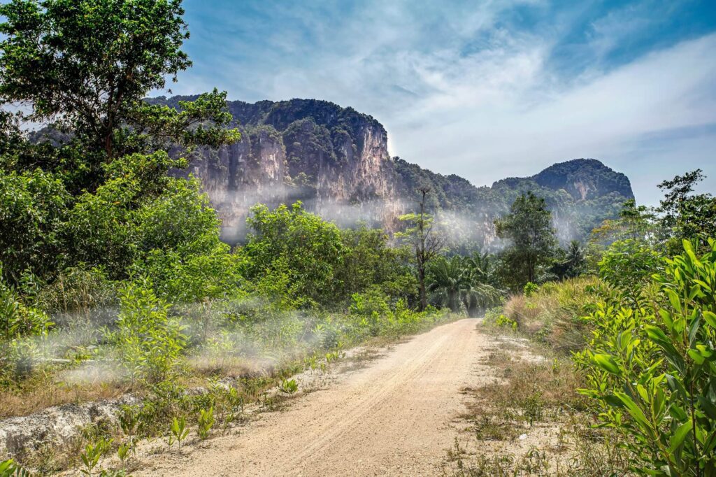 a simply dirt road leading through the tress of krabi with the limestone mountains in the background