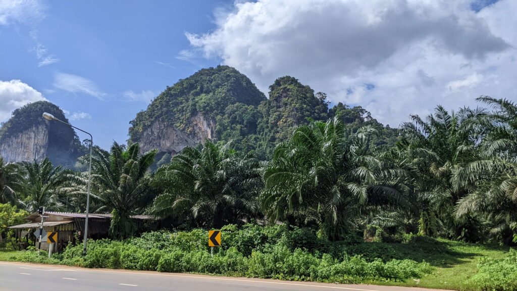 montagnes au bord de la route à krabi